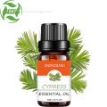 Wholesale competitive price high quality cypress oil